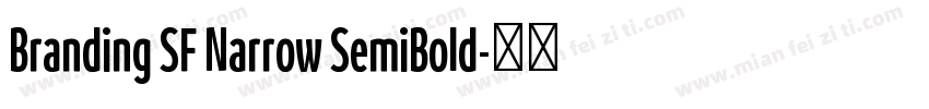 Branding SF Narrow SemiBold字体转换